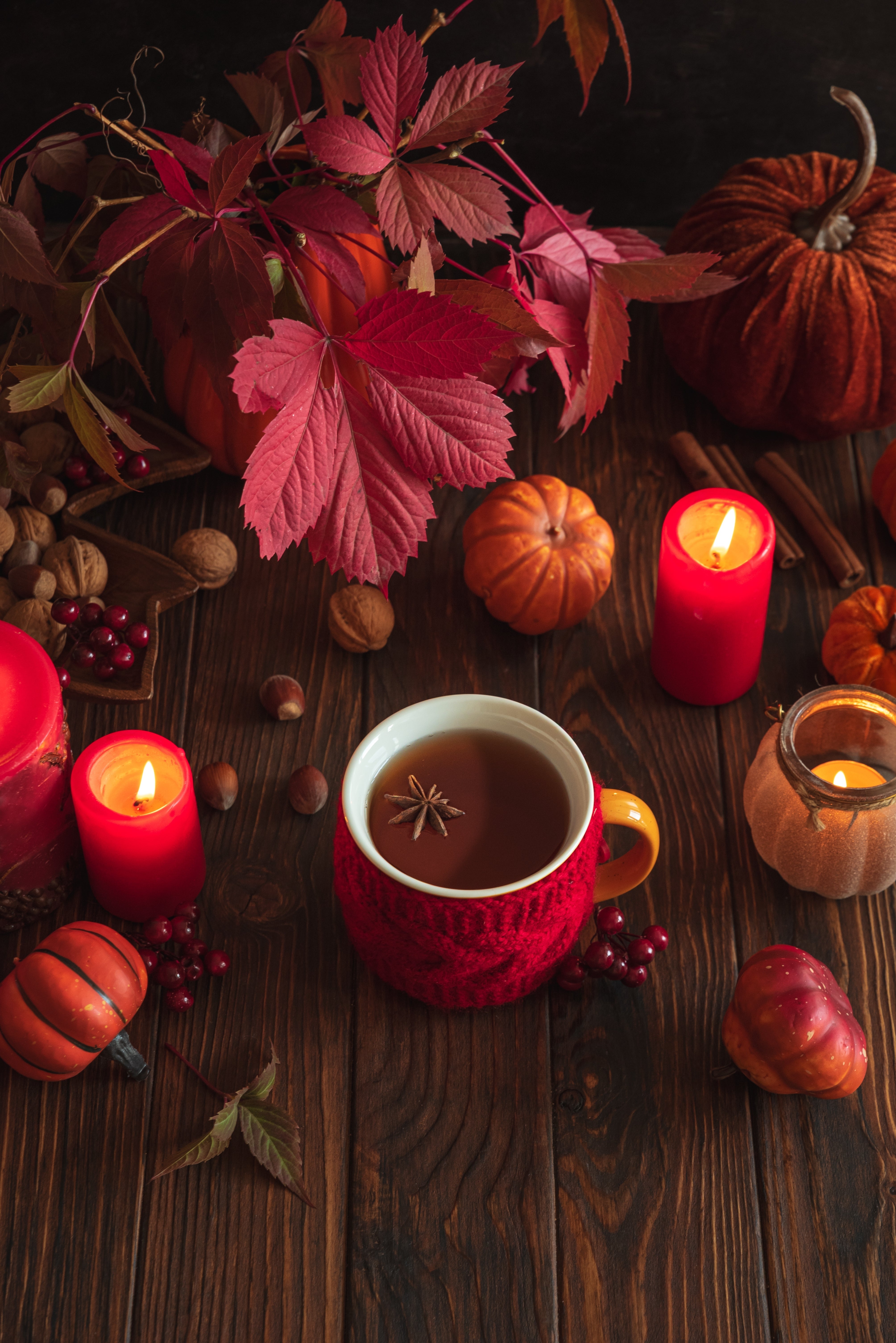 Gratitude Collection - Autumn Edition